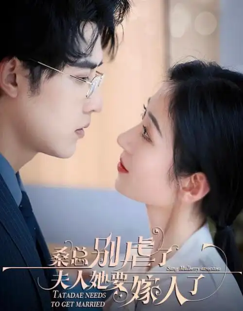 无声证词 电视剧免费在线观看